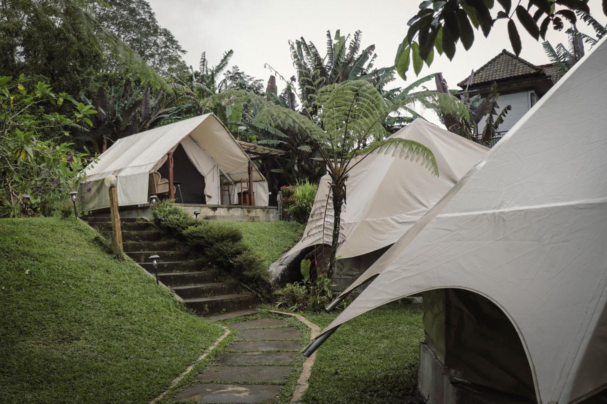 Alamu Eco Lodge Bedugul  Eksteriør bilde
