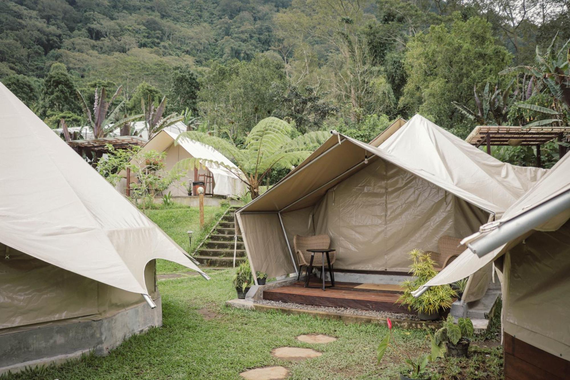 Alamu Eco Lodge Bedugul  Eksteriør bilde