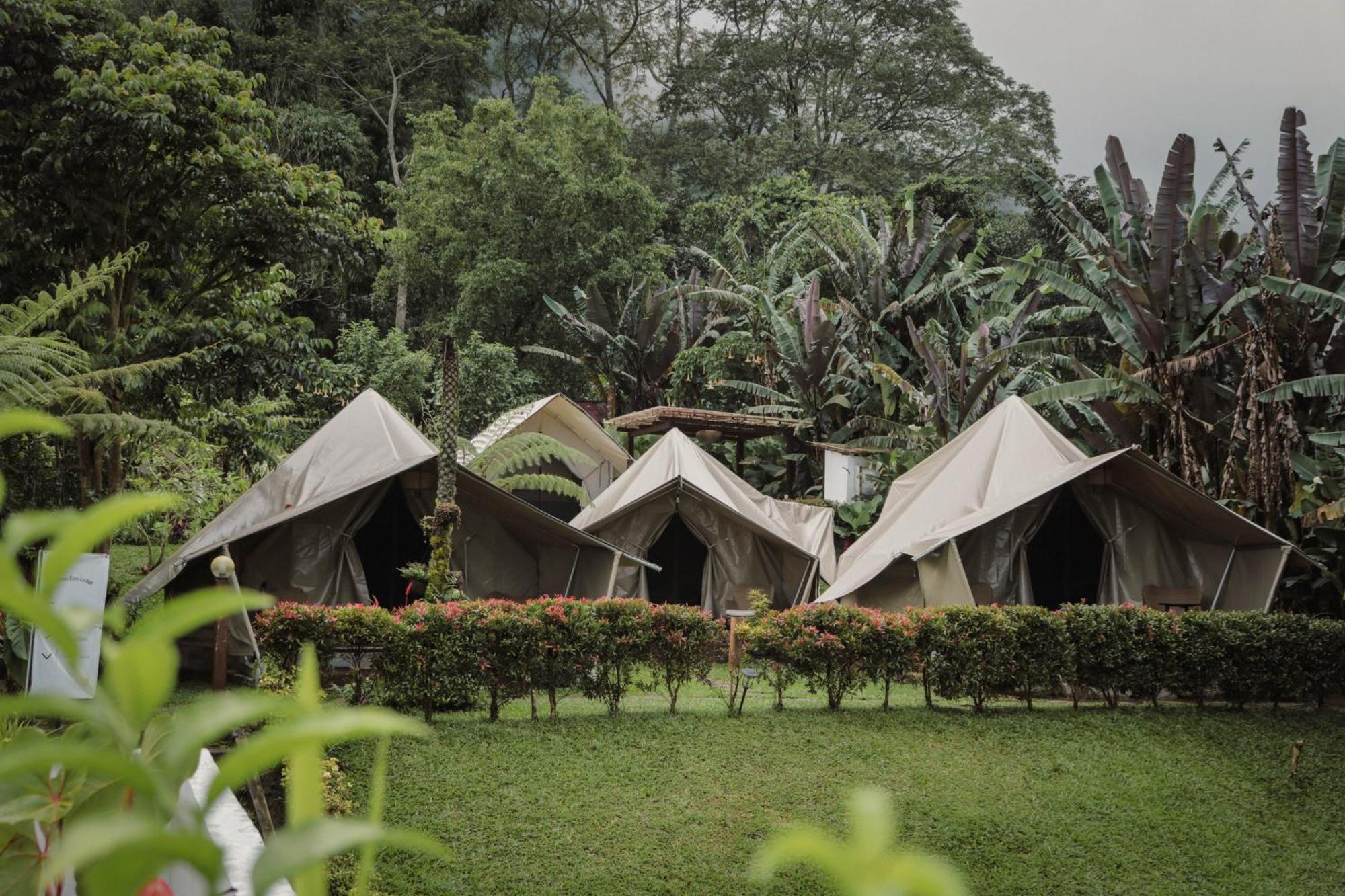 Alamu Eco Lodge Bedugul  Eksteriør bilde