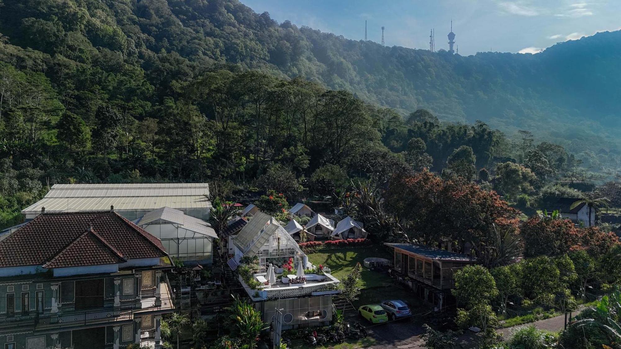 Alamu Eco Lodge Bedugul  Eksteriør bilde