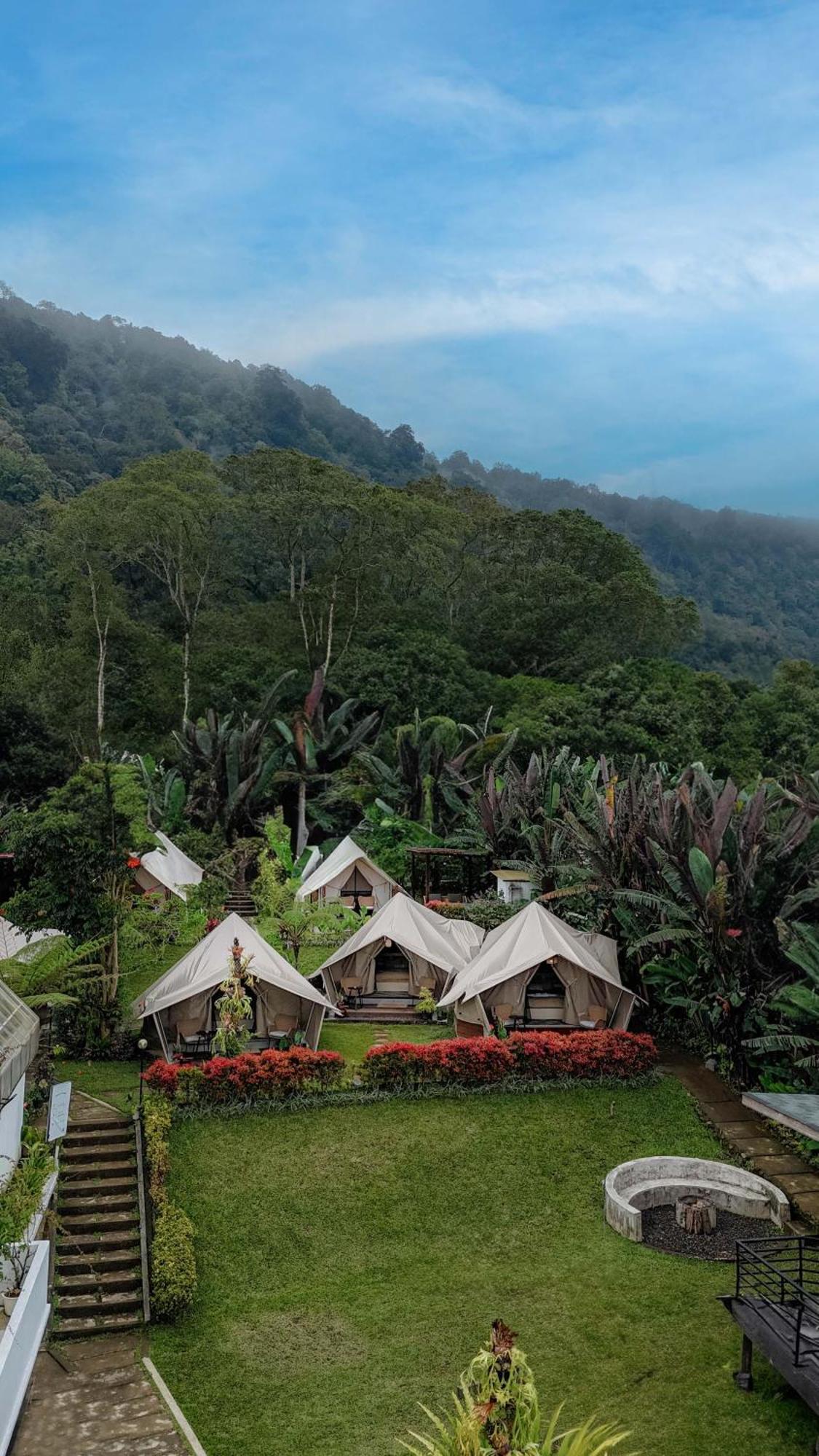 Alamu Eco Lodge Bedugul  Eksteriør bilde