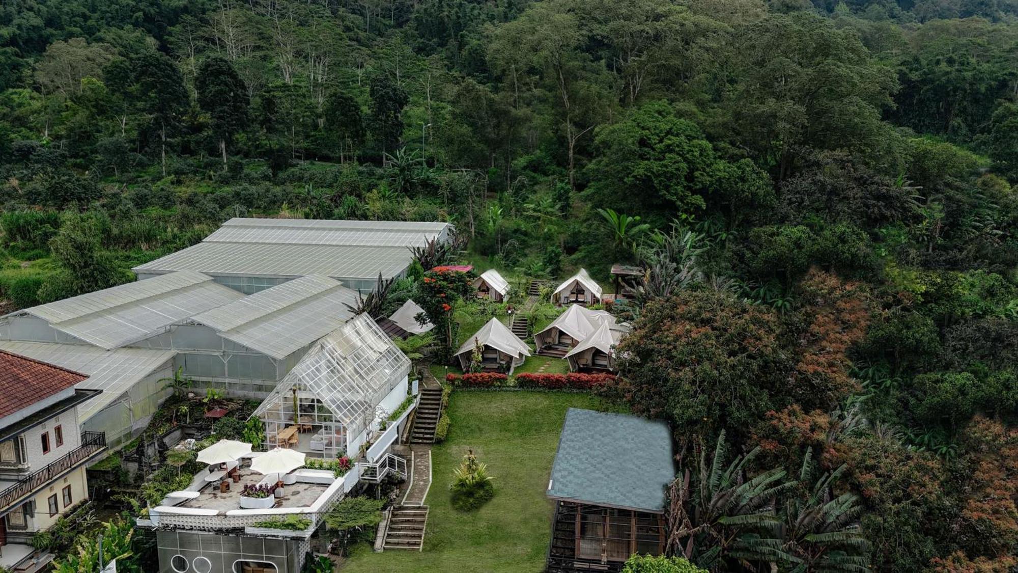 Alamu Eco Lodge Bedugul  Eksteriør bilde