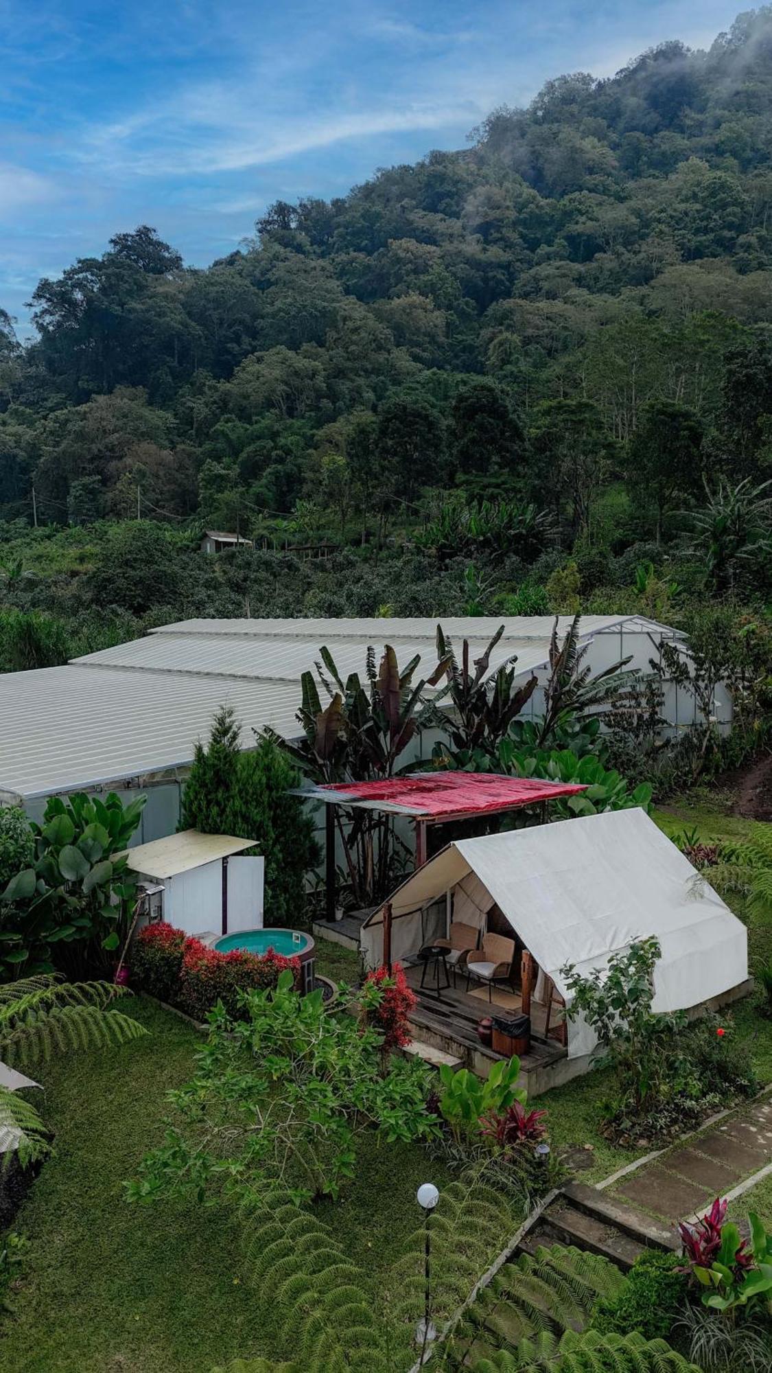 Alamu Eco Lodge Bedugul  Eksteriør bilde