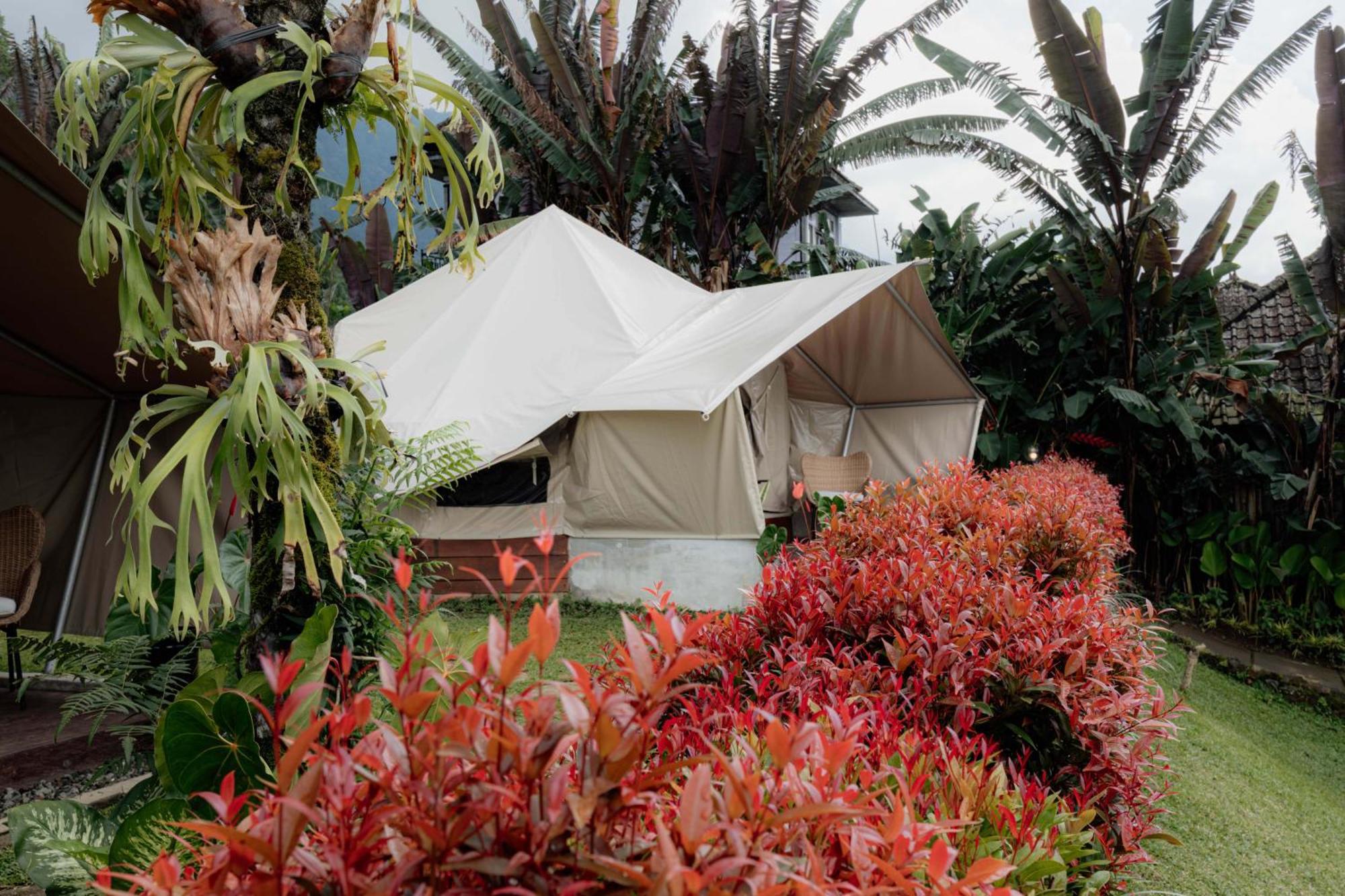 Alamu Eco Lodge Bedugul  Eksteriør bilde