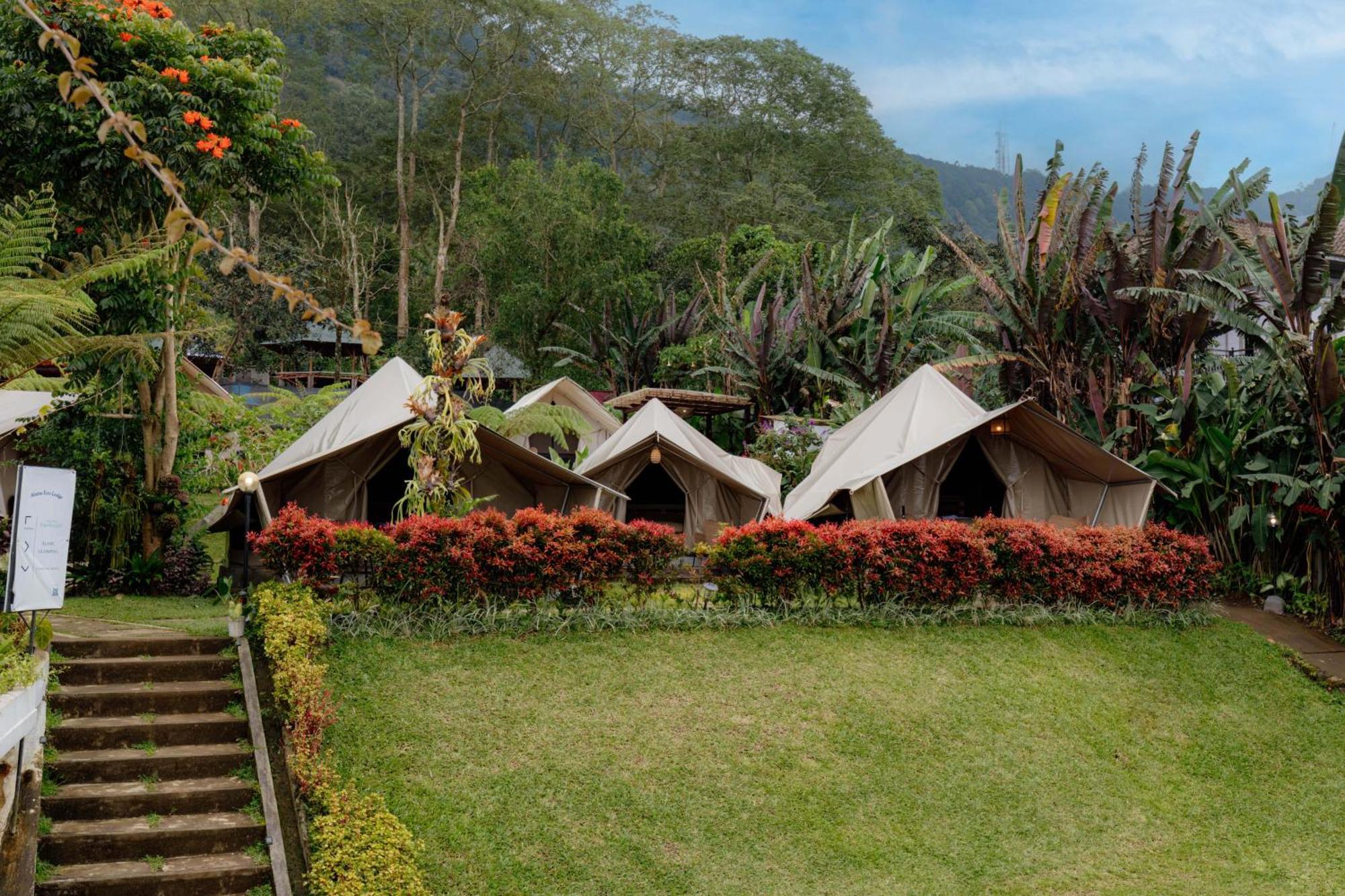 Alamu Eco Lodge Bedugul  Eksteriør bilde