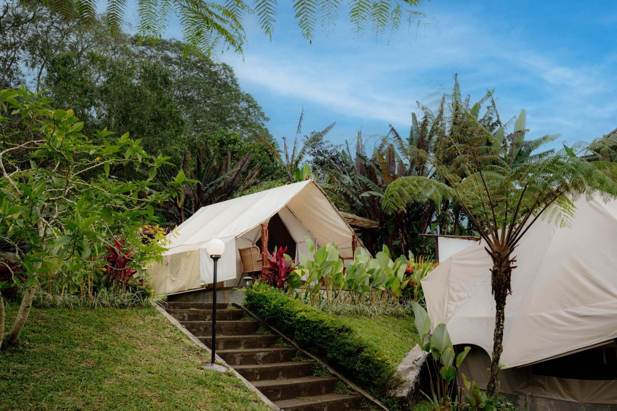 Alamu Eco Lodge Bedugul  Eksteriør bilde